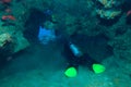 Diver in underwater cave, Indian ocean