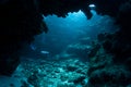Diver and Underwater Cavern Royalty Free Stock Photo