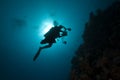 Diver - underwater photographer- silhouette