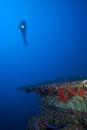 Diver underwater with ship