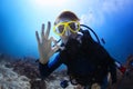 Diver Royalty Free Stock Photo