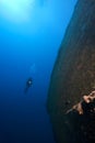 Diver underwater with sunken ship