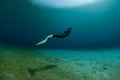 Diver underwater swimming