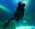 Toronto, Ontario, Canada - August 2 , 2023 : Driver waving at the camera during stingray show at Ripley aquarium in Toronto