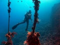 Diver at a wreck