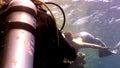 Diver and young woman underwater model mermaid on coral reef.