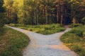 Divergence of directions. A wide path in the park is divided into two alleys leading in different directions in the rays of sunset