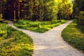Divergence of directions. The wide path in the park is divided into two trails. Royalty Free Stock Photo