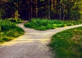 Divergence of directions. The wide path in the park is divided into two trails Royalty Free Stock Photo