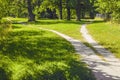 The divergence of paths in different directions in the park. Summer landscape Royalty Free Stock Photo