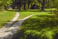Divergence of paths in different directions in the park in summer Royalty Free Stock Photo