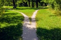 The divergence of paths in the park, the summer landscape