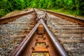 Diverging Railroad Tracks nestled in the woods. Royalty Free Stock Photo