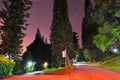 Diverging walkways surrounded by tall trees Royalty Free Stock Photo