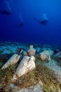 Divers and ancient amphoras Royalty Free Stock Photo