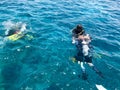 Divers in black diving waterproof suits with shiny metal aluminum canisters float, dive into blue clear sea water on vacation, sea