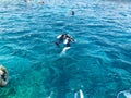 Divers in black diving waterproof suits with shiny metal aluminum cylinders float, immersed in blue sea water on vacation, sea cru