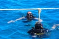 Divers on the clear and turquoise Red Sea on immersion in beautiful corals and colorful fish.