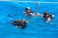 Divers on the clear and turquoise Red Sea on immersion in beautiful corals and colorful fish.