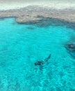 Divers and coral in the Red Sea