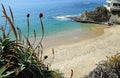 Divers Cove Beach, Laguna Beach, California.