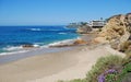 Divers Cove and Picnic Beach, Laguna Beach, California. Royalty Free Stock Photo