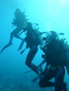 Divers Down Royalty Free Stock Photo