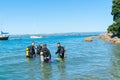 Divers entering water at Pilot Bay wharf for annual beach clean