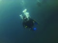 Divers exploring marine life at Amed, Sunken ship diving site, Bali, Indonesia