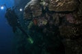 Divers exploring the underwater world of the Red Sea Royalty Free Stock Photo