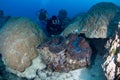 Divers with a Giant Clam