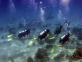 Divers with guide