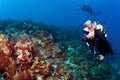 Divers enjoying the reef in St Lucia