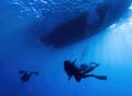 Divers Return To Boat Underwater with Boat on Surface in Silhouette Royalty Free Stock Photo