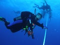 Divers at a Safety Stop Royalty Free Stock Photo