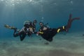 Divers under the sea