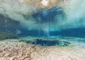 Divers underwater caves diving Ginnie Springs Florida USA