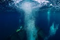 Divers underwater at shipwreck in Bali. Diving in sea Royalty Free Stock Photo