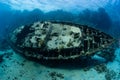 divers visiting an underwater wreck of a metal sailboat