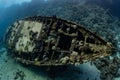 divers visiting an underwater wreck of a metal sailboat