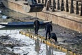 Divers working on concrete form work