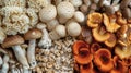 A diverse array of fresh mushrooms, AI created