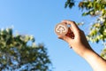 Diverse Asian female hand holding up wood disc with cloud computing upload icon - Cloud computer file transfer symbol