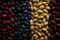 Diverse beans in a cohesive and interconnected formation Royalty Free Stock Photo