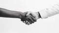 Diverse business men arms shaking hands, black and white