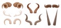 Diverse Collection Of Animal Horns, Featuring Various Shapes And Sizes. Perfect For Educational Purposes, Crafts Royalty Free Stock Photo