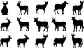 Deer and Antelope Silhouette Vector Collection Royalty Free Stock Photo