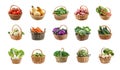 A diverse collection of vegetable baskets, each brimming Royalty Free Stock Photo