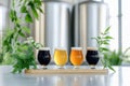 Diverse craft beer sampler on rustic wooden table in brewery setting Royalty Free Stock Photo
