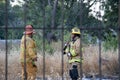 A diverse crew of firefighters from the LAFD puts out a brush fire on a vacant lot.